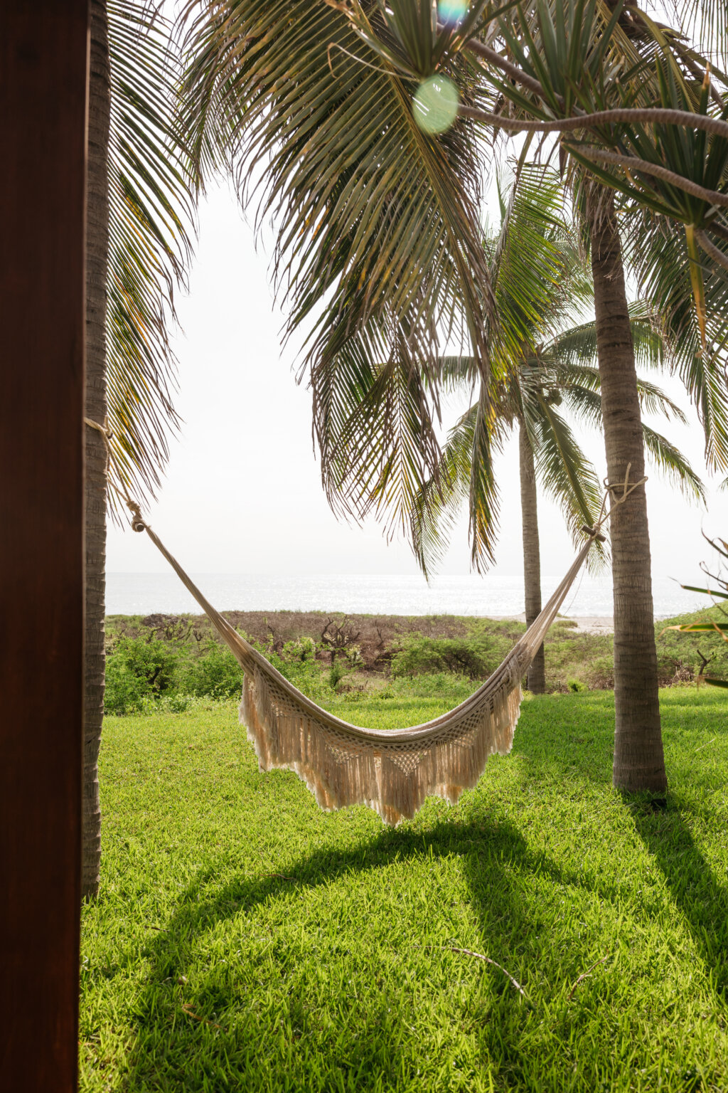 Hammock between palm trees with an ocean view in Mazunte, Mexico