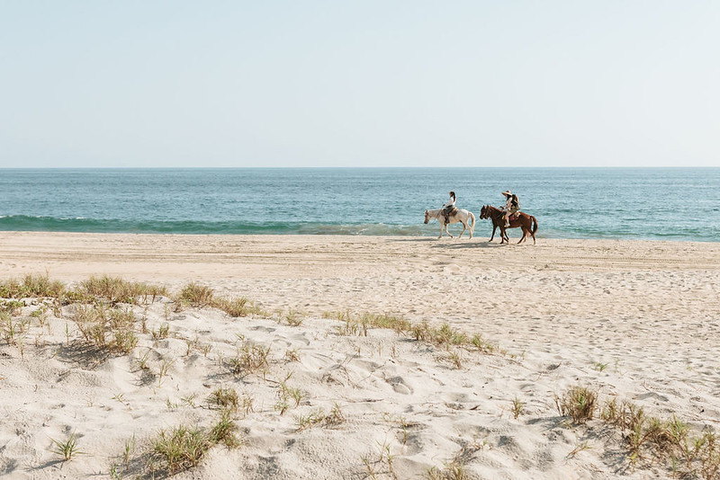 horseback rising by the beach