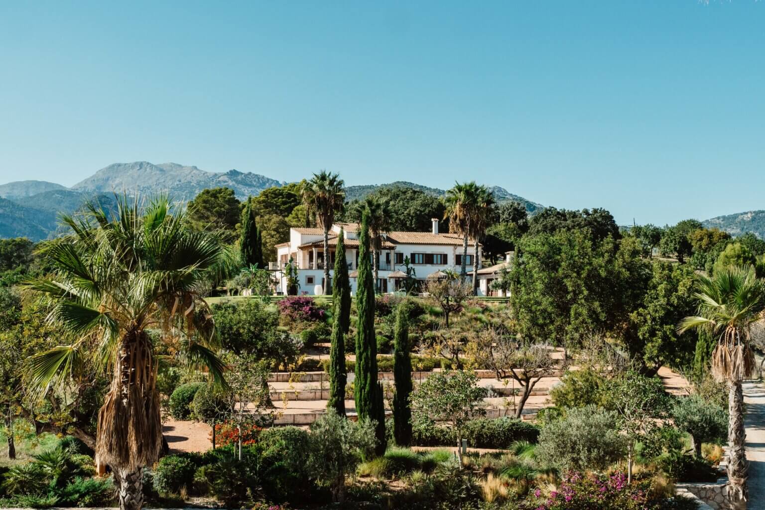 Villa Sa Vinya surrounded by palm trees and mountains in Mallorca, Spain
