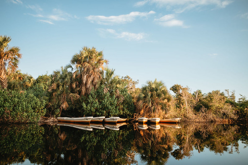 by the lake