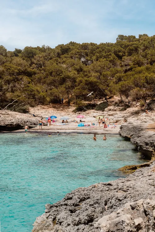Rocky coastline with turquoise waters, a sandy beach, and people relaxing under colorful umbrellas. Pine trees create a lush backdrop. Serene and summery.