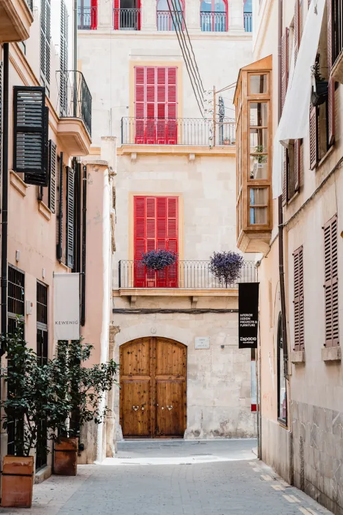 Narrow alley with plants and buildings featuring red shutters. A wooden door at the alley's end adds a charming touch, creating a cozy, inviting feel.