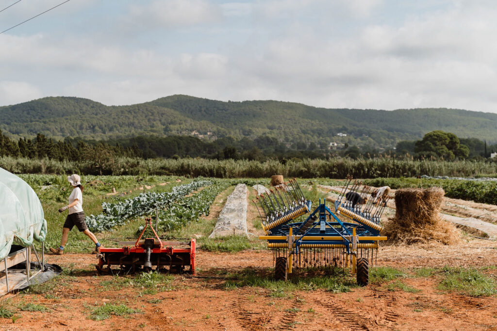 A farm worker and agricultural equipment stand among cultivated rows with hills beyond, near Can Romero Villa in Santa Eulalia, Ibiza.