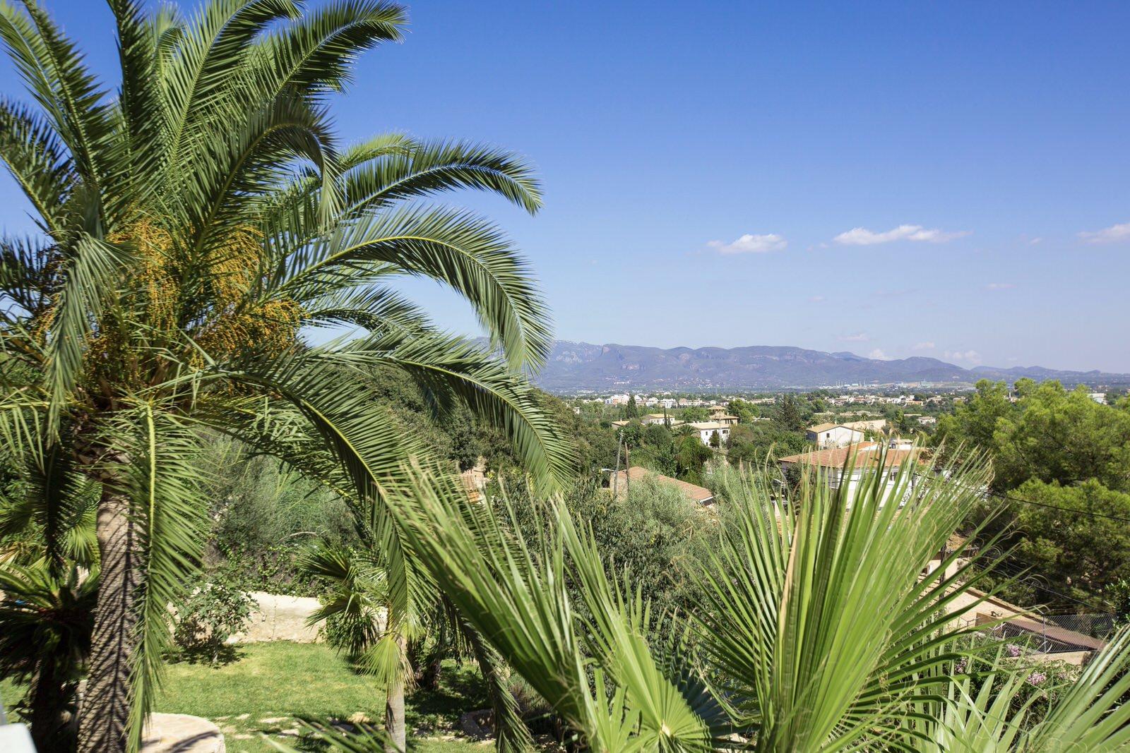 Mallorca-Luxury-Villa-Palma-Can-Cristobal-Maven-Collection 50