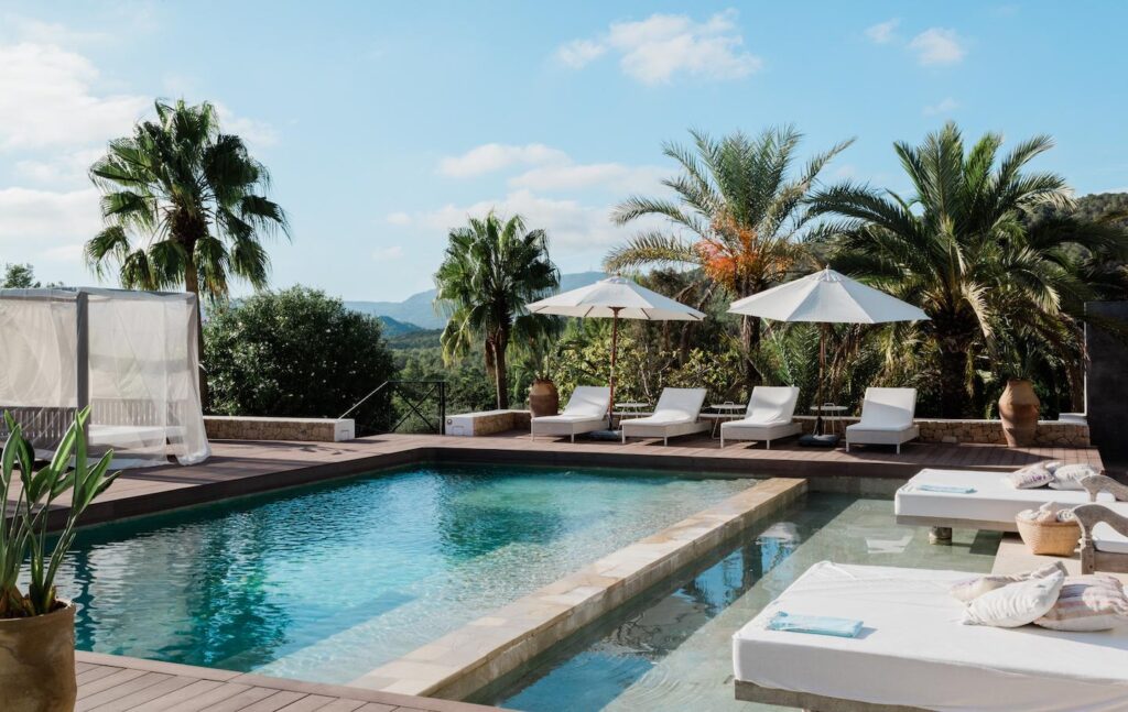 Palm-lined pool and sun loungers at Casa Amalia, Ibiza