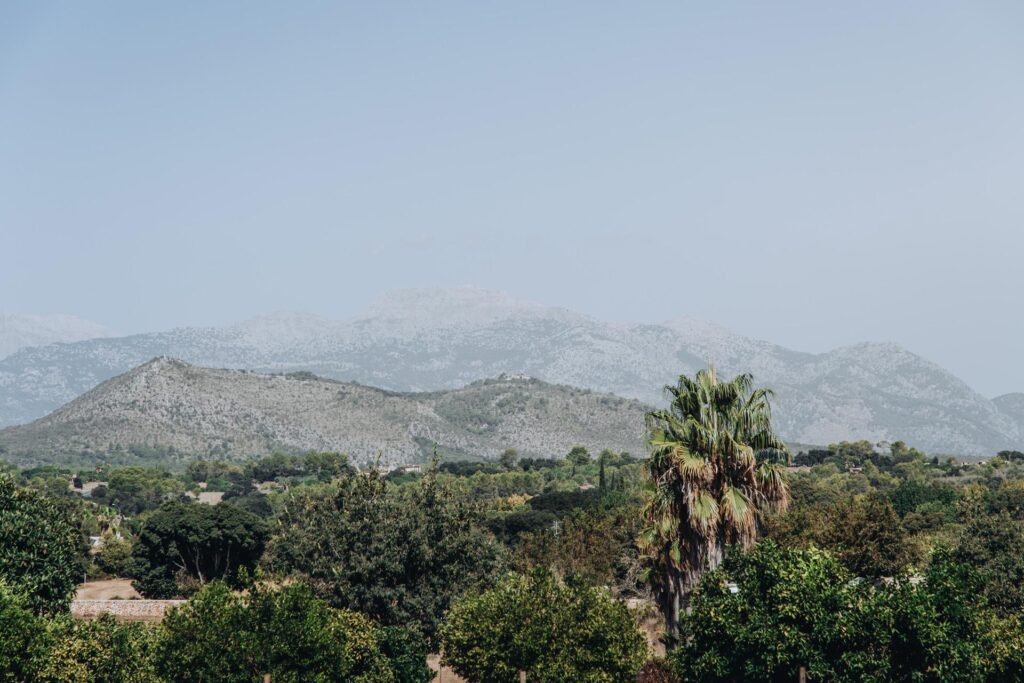 Tramuntana mountain views across the Mallorca countryside.