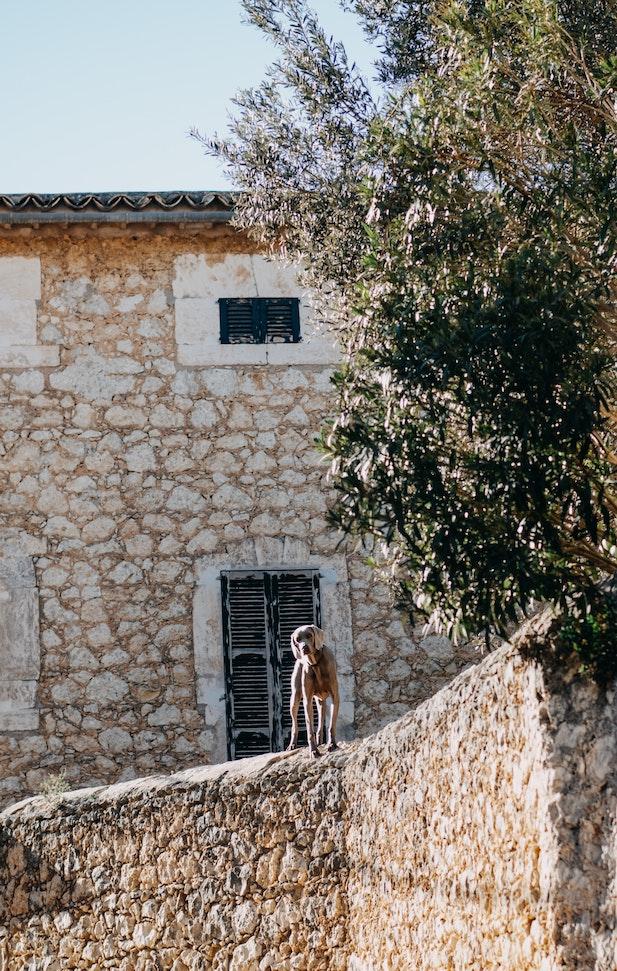 Soller-house-Mallorca-Maven-Collection