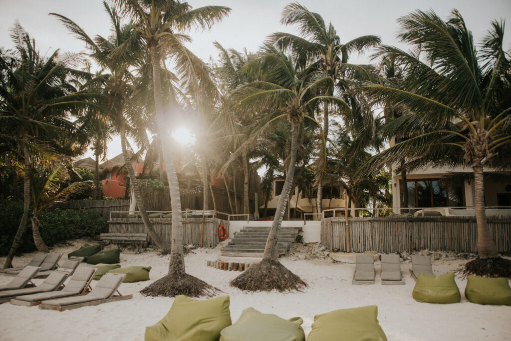 Palm-lined beach with loungers and green beanbags near the water.