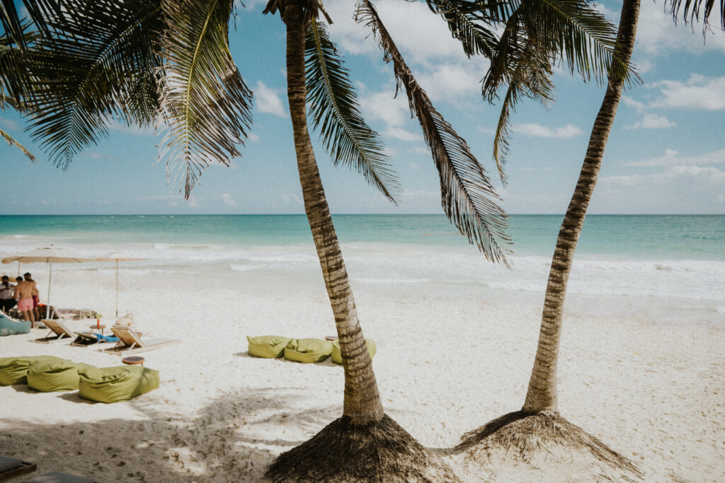 Beach chairs and green beanbags beneath palms beside the turquoise sea.