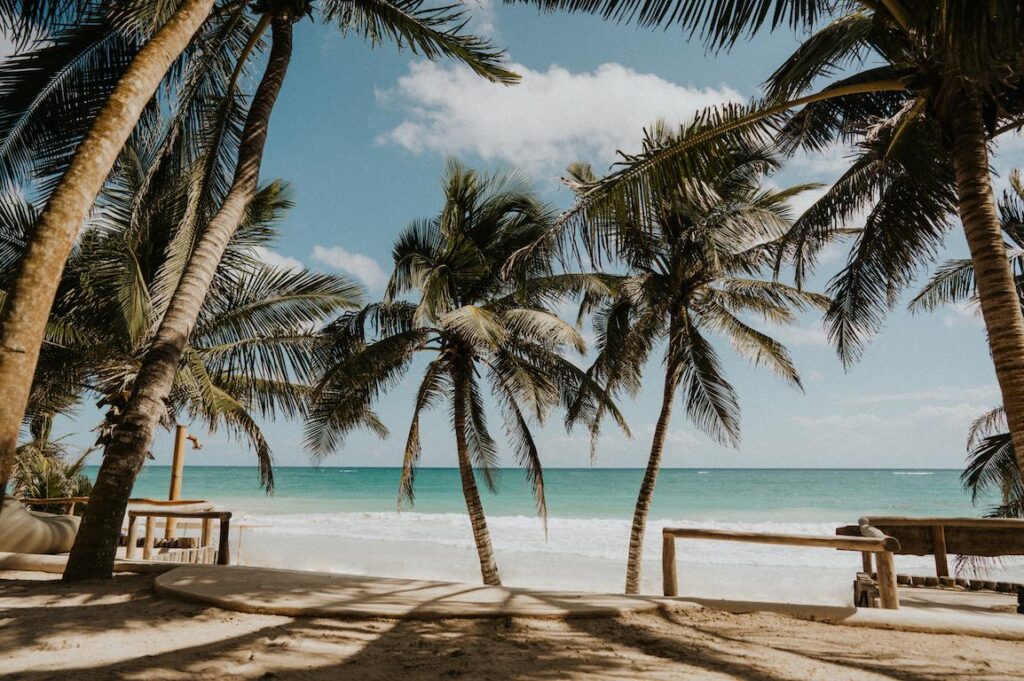 Beach chairs beneath palms beside the turquoise sea.
