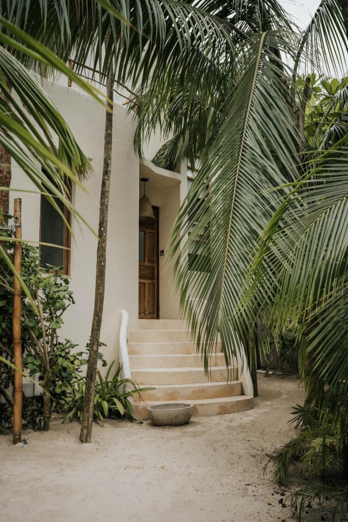 Pale stone steps lead to a wooden doorway, shaded by overhanging palm fronds.