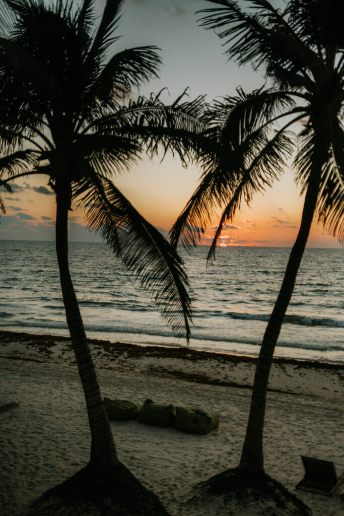 Sunset over the ocean framed by palm trees.