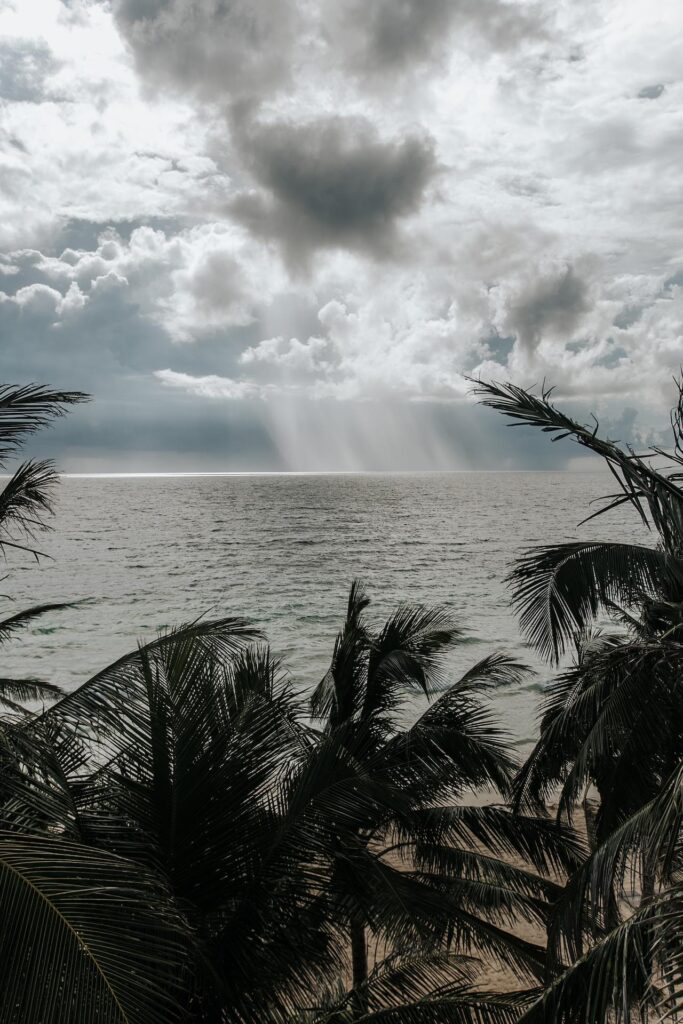 Sunbeams break through heavy clouds above the ocean, framed by palm fronds.
