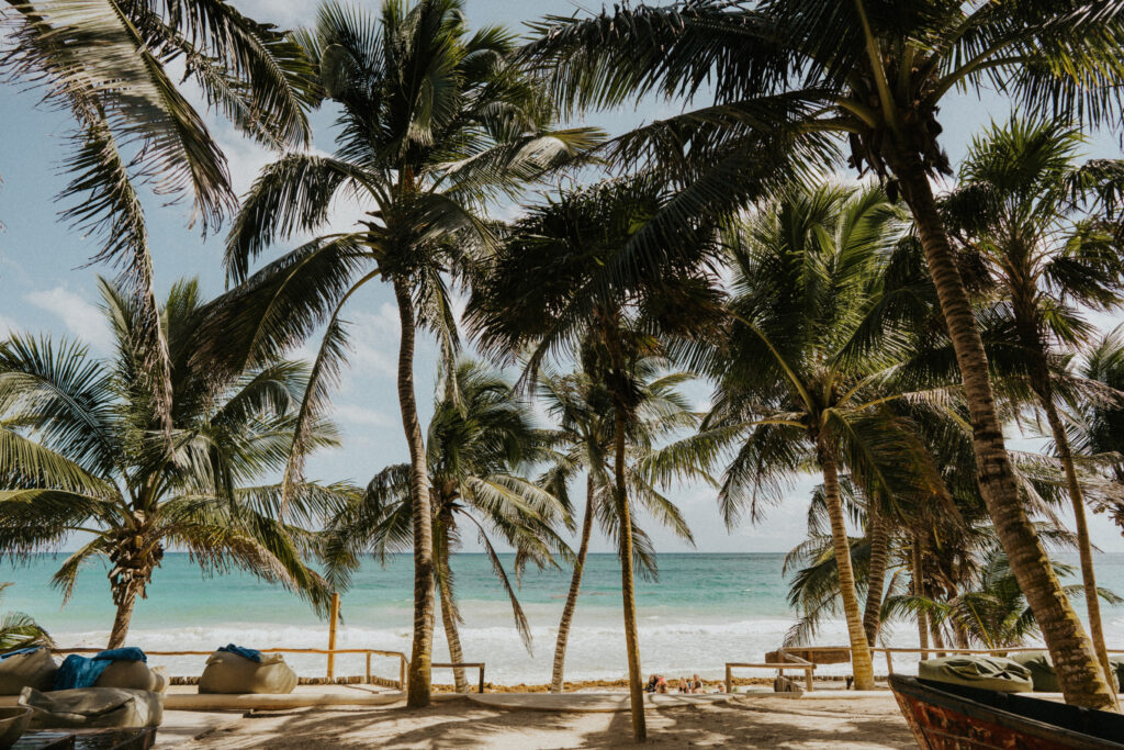Palm trees shade a sandy beach with turquoise water and cushioned lounge seating.
