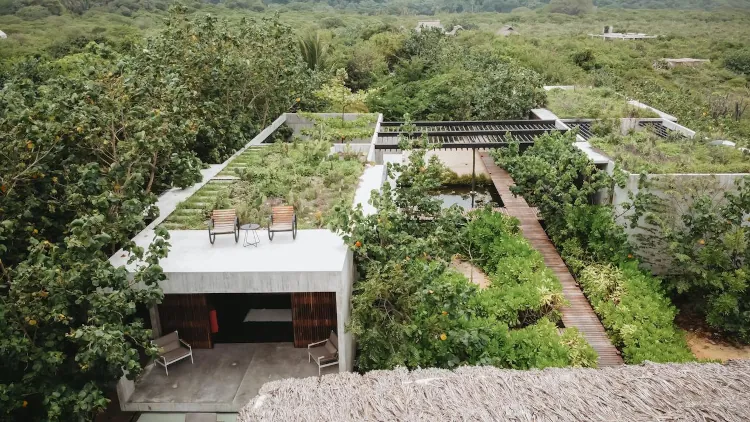 A high-angle shot of a minimalist concrete building with a living green roof. Two wooden lounge chairs and a small side table sit on the flat roof overlooking a wooden slat walkway that winds through a courtyard filled with tropical greenery and a small pond.