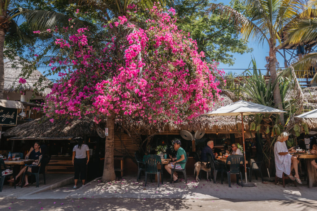 Mexico-Luxury-Villa-Puerto-Escondido-Maven-Collection63