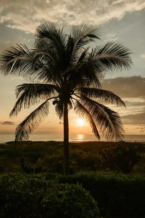 Sunsets at Casa Zicatela