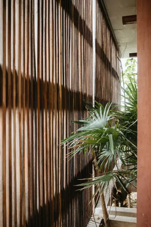 A detail shot of the architectural design at Casa Selva, showing a tall wall made of vertical wooden slats that create a play of light and shadow. A vibrant green palm plant grows in the narrow space between the wooden screen and a concrete walkway, blending modern design with tropical nature.
