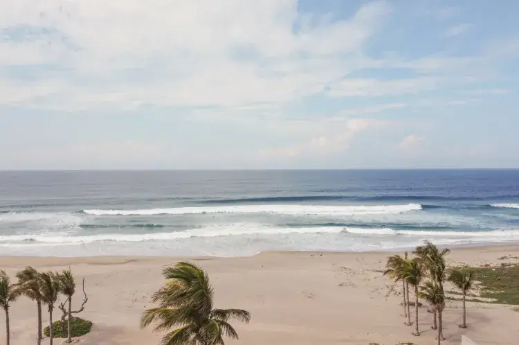 A high-angle view of a wide, sandy beach meeting the deep blue ocean. Several clusters of palm trees are scattered across the sand, and white waves roll gently toward the shore under a hazy blue sky.