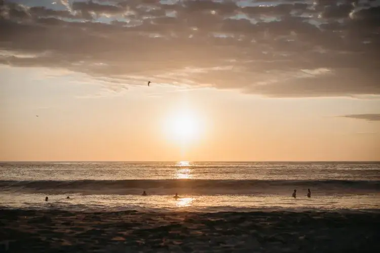 A golden sunset over the ocean with the sun low on the horizon, casting a bright reflection on the water. Silhouettes of people are seen swimming and wading in the surf against a backdrop of soft, scattered clouds.