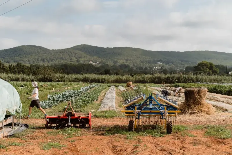 A person walks on a farm with rows of crops, farming equipment, and hay bales under a cloudy sky, set against lush green hills.