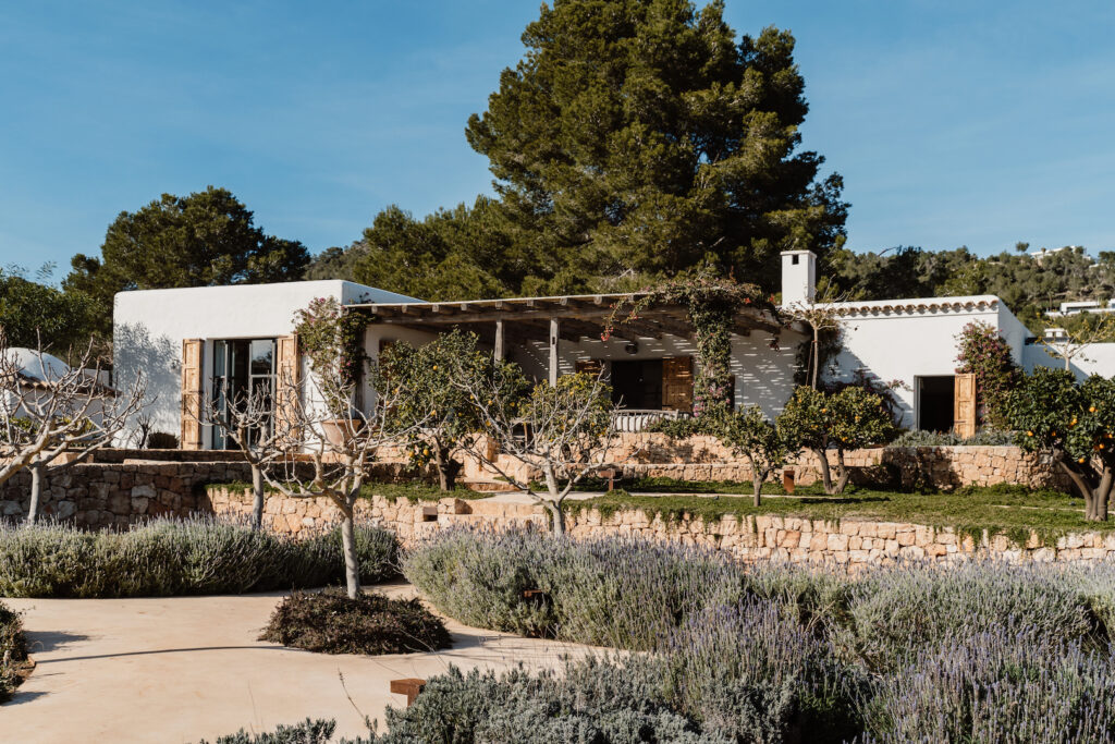 Can Flores Villa set among stone garden terraces, lavender and trees in Cap Martinet, Ibiza.