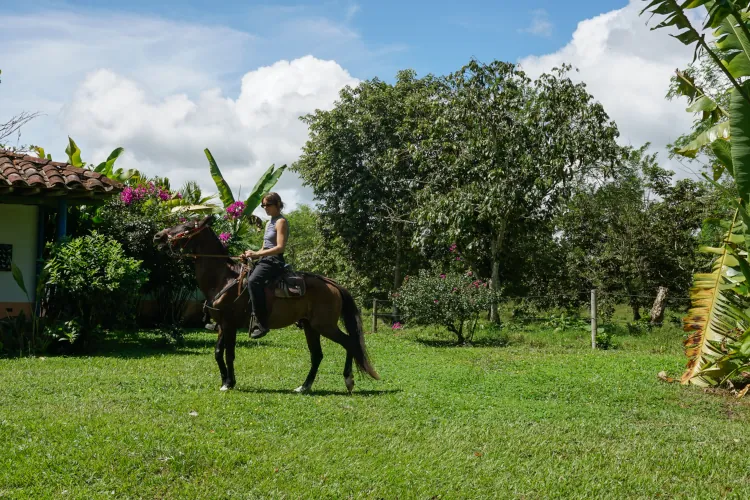 Person riding a horse in a lush, green garden. Tropical plants and trees surround the area, with a blue sky and white clouds above, creating a tranquil scene.