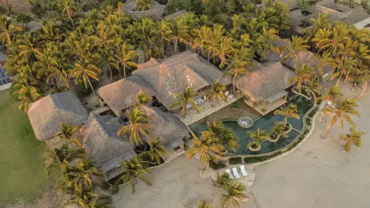 Aerial drone shot of Casa Tortugas beachfront villa featuring thatched-roof palapas, a curved infinity pool, and lush palm trees at sunset.
