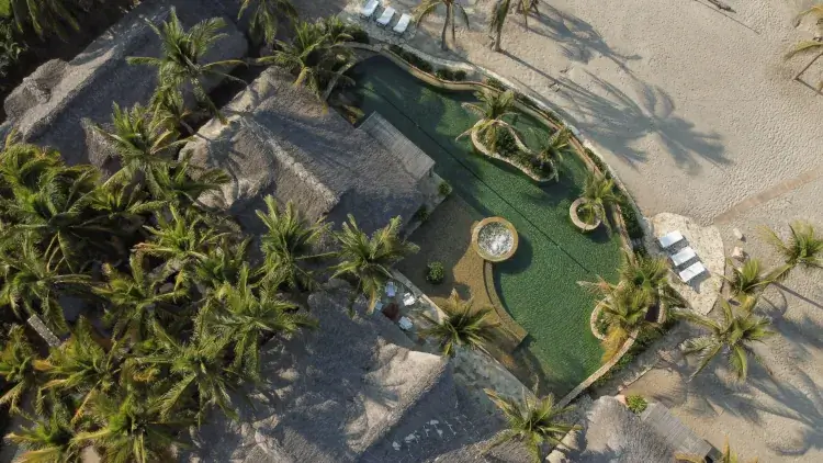 High-angle view of a curved luxury swimming pool surrounded by manicured palm trees and white sand lounging areas.