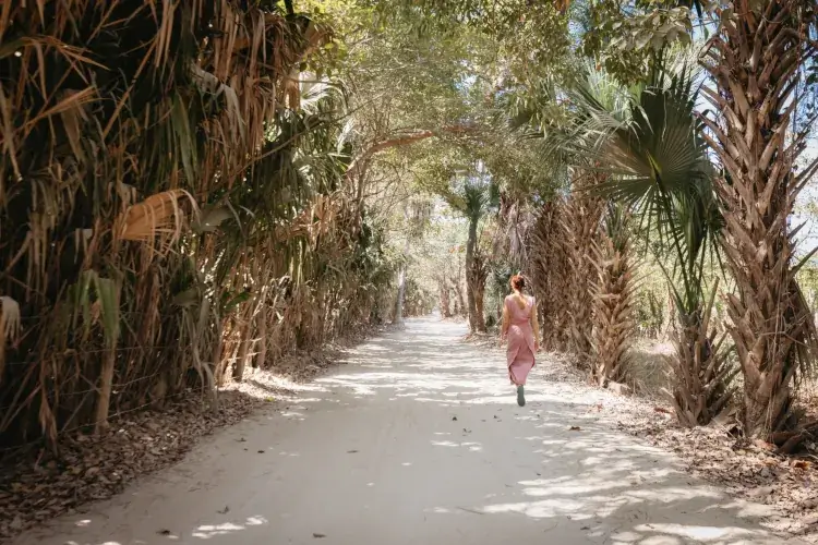 A woman in a pink dress walks away from the camera down a sun-drenched, sandy path flanked by dense, tropical palm trees and dry foliage.