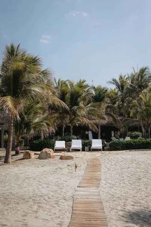A sunny beach view at Casa Tortuga featuring a narrow wooden slat walkway leading through white sand toward three white lounge chairs. Dense green palm trees and a thatched-roof villa are visible in the background under a clear blue sky.