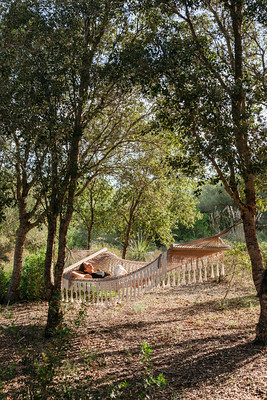 Rustic pathway through a wooded landscape in the Balearic Islands