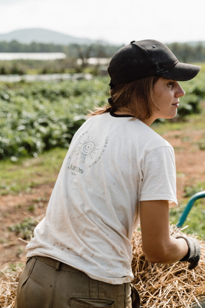 Woman working among crops at a local farm in the Balearic Islands