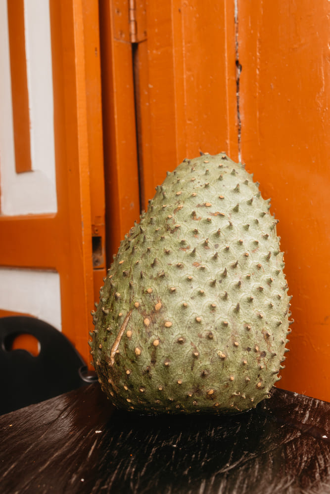 Close-up of a fresh green soursop fruit displayed against a vibrant orange doorway in a colorful Colombian setting