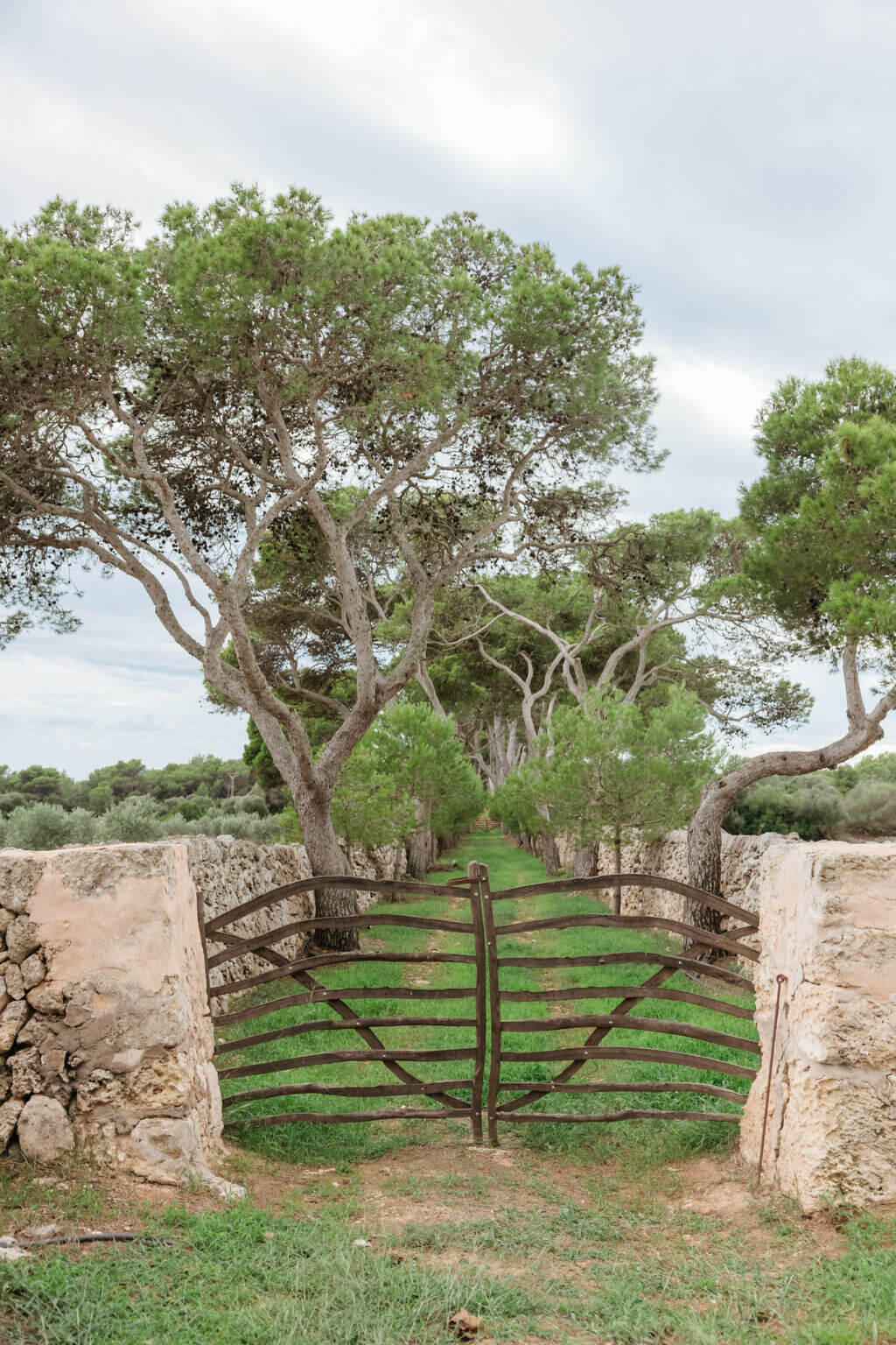 Wooden gate surrounded by pine trees and countryside in Menorca