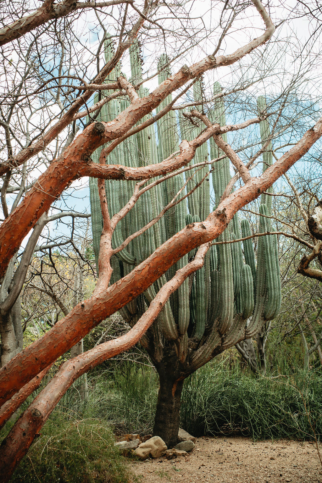 54413666916_d7e29682ff_o