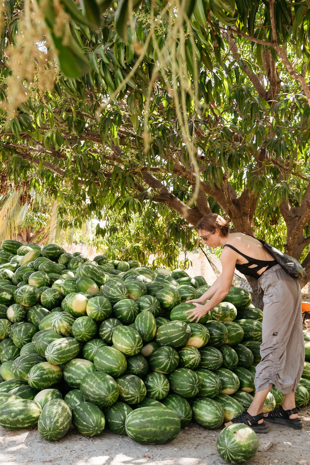 54413914253_ed8e20063f_o