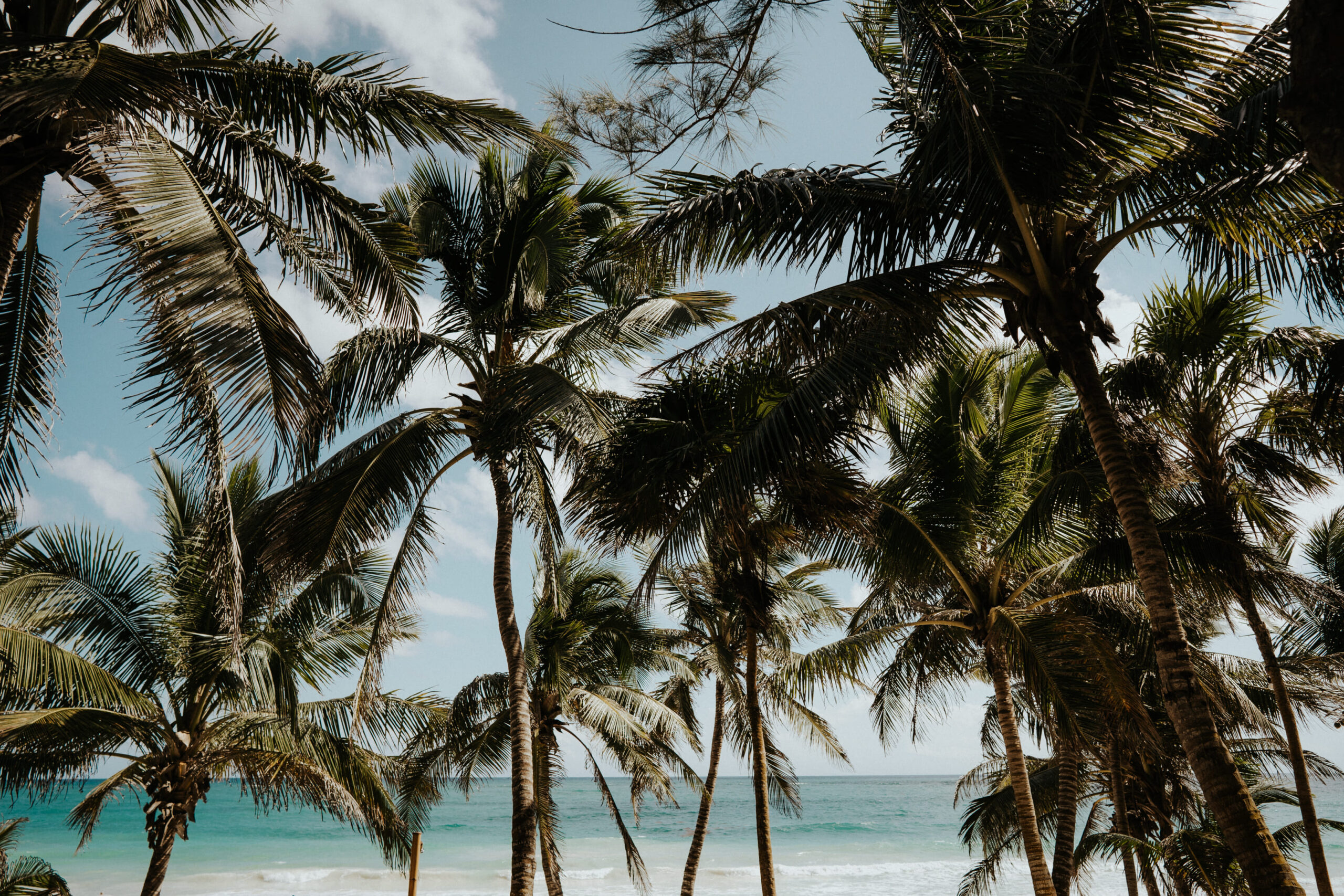 Luxury Villas in Tulum, Mexico