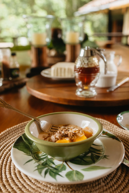 breakfast-bowl-honey