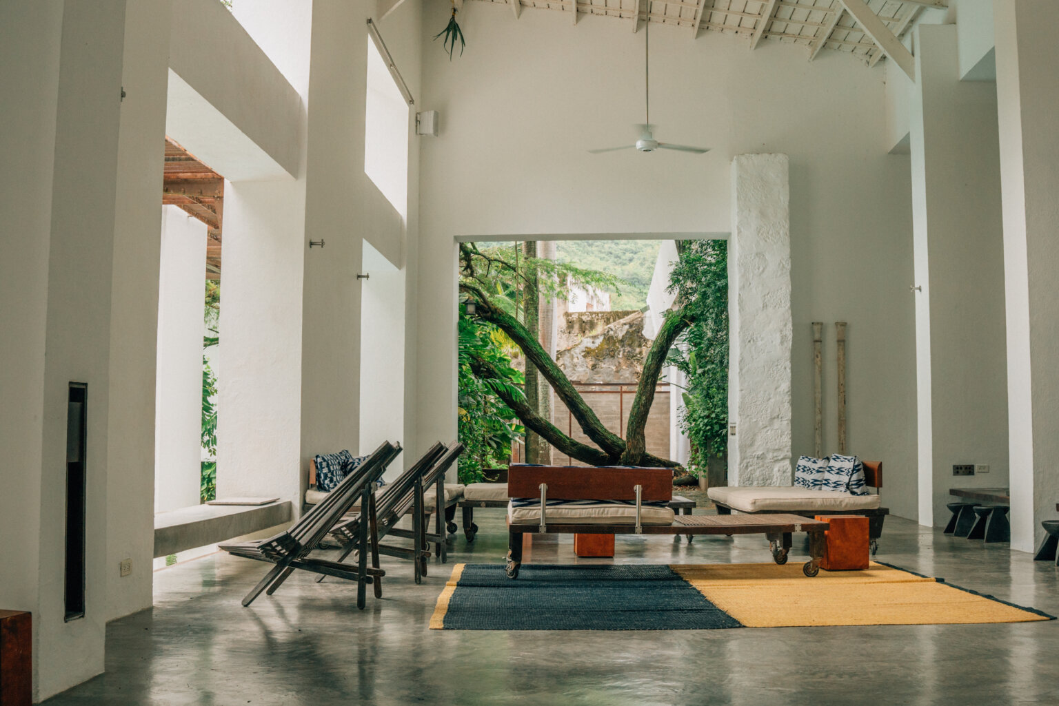 A spacious, open-air living area with high white walls, modern wooden lounge chairs, and a large tree visible through a courtyard opening.