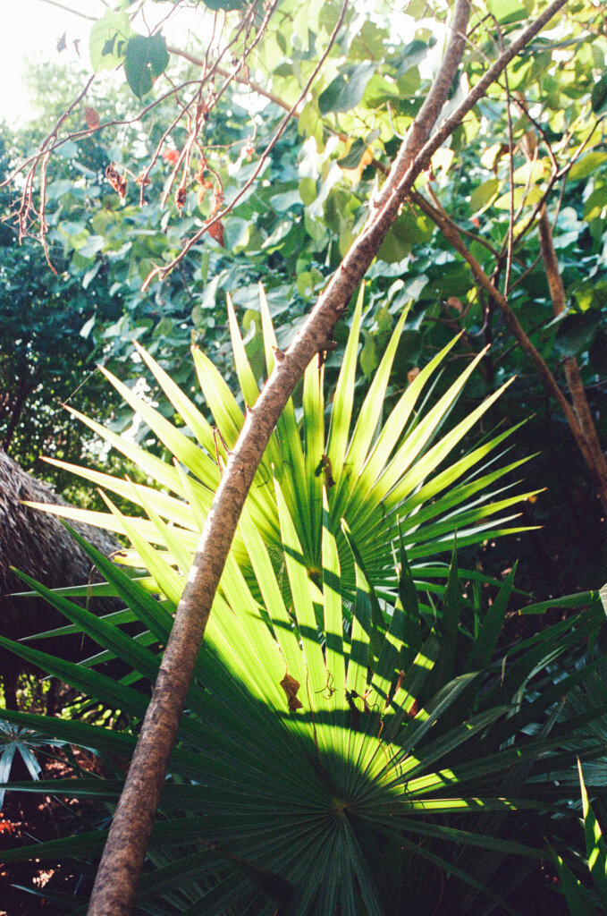 puerto escondido