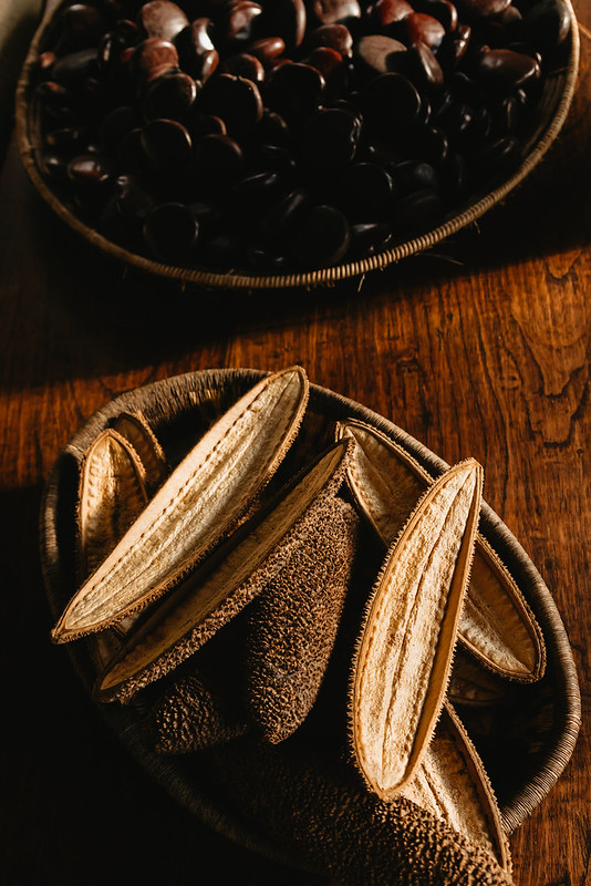 seed-pods-and-beans