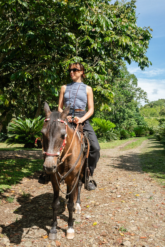woman-riding-horse