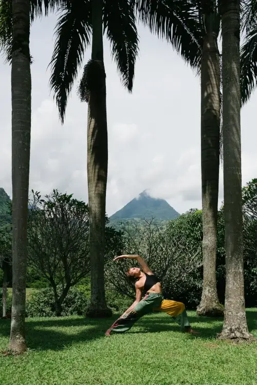 Person practicing yoga outdoors between tall palm trees, with a mountain backdrop and lush greenery under a bright sky.