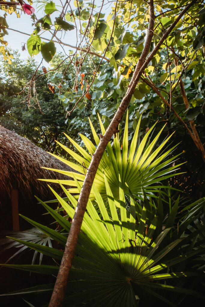 Mexico-luxury-villa-Oaxaca-Maven-Collection29