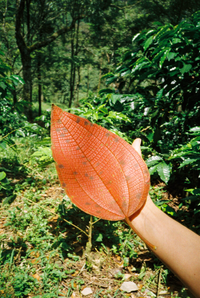 Colombia-luxury-villa-Maven-Collection154