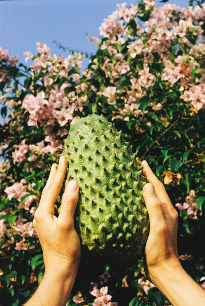 Colombia-luxury-villa-Maven-Collection34