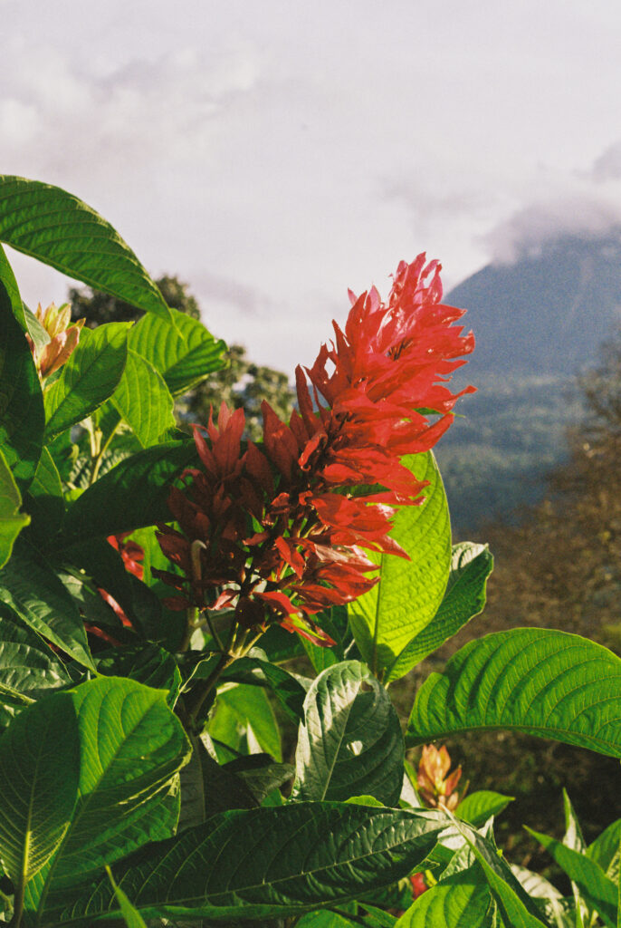 Colombia-luxury-villa-Maven-Collection38