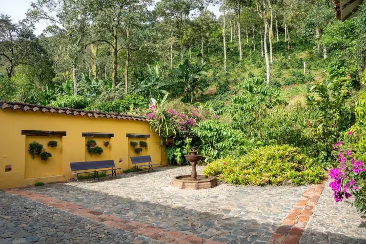 A peaceful stone courtyard at Hacienda Oro Molido with a tiered fountain, park benches, and yellow walls decorated with hanging plants, backed by a lush green forest.