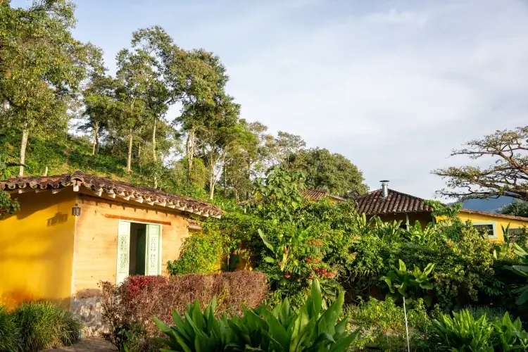 A sunlit garden at Hacienda Oro Molido featuring a small yellow clay building surrounded by diverse tropical plants, banana trees, and a forested hillside.